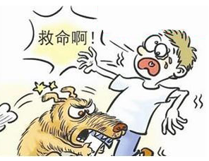 我被狗咬了 我被狗咬了